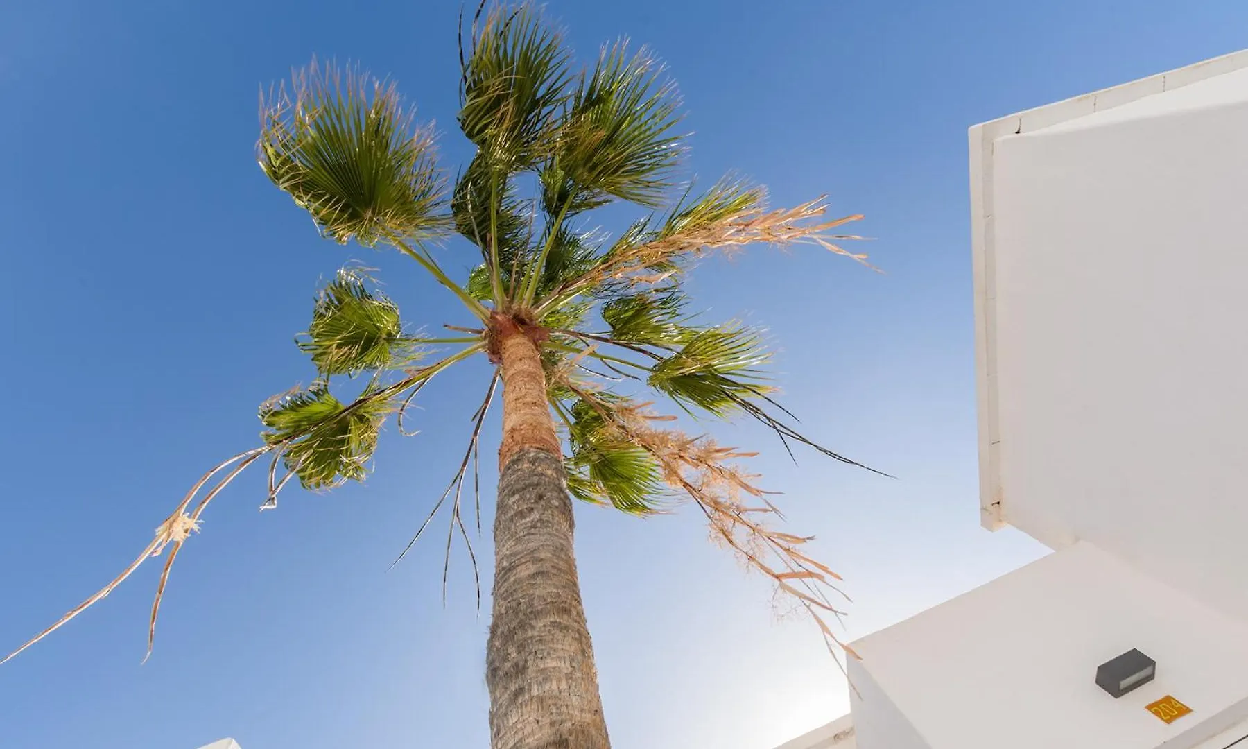 Lanzahost Tabaiba Blue Apartment Costa Teguise